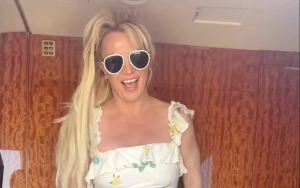 Britney Spears and Estranged Dad Jamie Settle Legal Dispute in Conservatorship Case
