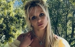 Britney Spears' Hotel Outburst With Boyfriend Prompts Police and Paramedic Calls