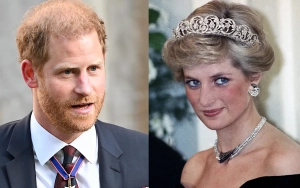 Prince Harry Has Exciting Reunion With Late Mom Princess Diana's Family