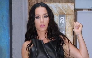 Katy Perry Called Rude After Throwing Pizza Into 'American Idol' Audience