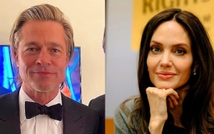 Brad Pitt Accused of Punishing Angelina Jolie 'for Leaving' Amid Winery Lawsuit