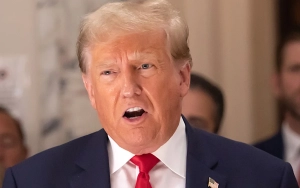 Donald Trump Receives Thunderous Applause at UFC Fight Following Guilty Verdict