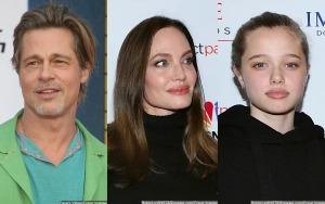 Brad Pitt 'One Hundred Percent Blames' Angelina Jolie for Shiloh's Decision to Legally Drop His Name