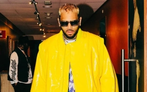 Chris Brown Walks Off the Stage Following Another Malfunction on Tour