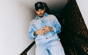 Chris Brown Goes Viral Over His Bulge Displayed at Toronto Show: 'Blessed'