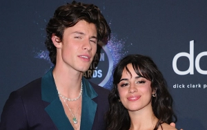 Camila Cabello Denies Shading Shawn Mendes During Her Performance at Rock in Rio