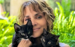 Halle Berry Welcomes New Feline Friends to Her Full House