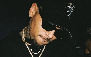 Chris Brown Cheekily Responds to Fans' 'Mad Requests' for Him to Strip Off at Concerts
