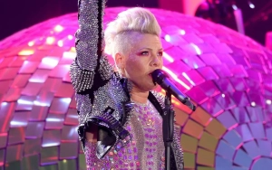 Pink Resumes Tour in Denmark After Canceling Switzerland Gig Due to Illness