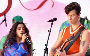 Camila Cabello and Shawn Mendes Spark Reconciliation Rumors at Copa America Final