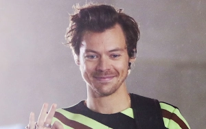 Madame Tussauds Nails New Harry Styles Wax Figure in Nashville