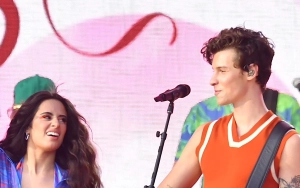 Camila Cabello Seen in Solo Outing After Sparking Shawn Mendes Reconciliation Rumors