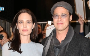 Angelina Jolie Calls on Brad Pitt to End Winery Lawsuit