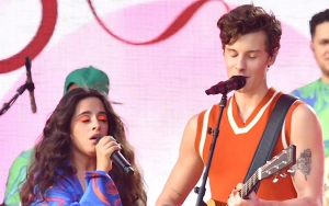 Camila Cabello Opens Up on Emotional Struggles After Shawn Mendes Reunion