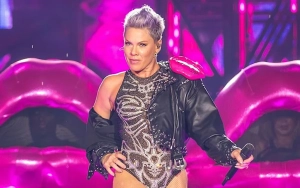 Pink to Grace DNC With Performance Ahead of Kamala Harris' Acceptance Speech