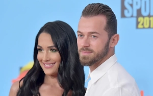 Nikki Bella Files for Divorce From Artem Chigvintsev Following His Domestic Violence Arrest