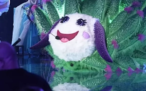 'The Masked Singer' Season 12 Premiere Recap: Leaf Sheep Unmasked as Legendary NFL Star
