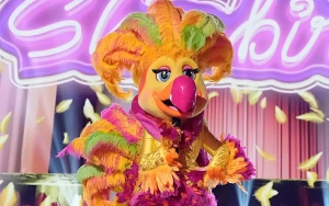 'The Masked Singer' Recap: Sitcom Star Unveiled as Showbird on 'Footloose Night'