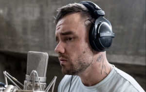 Liam Payne's Second Album 'Completely on Pause' Amid Struggles With Solo Career