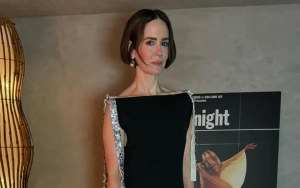 Sarah Paulson Hopes to Be Comedic Superstar