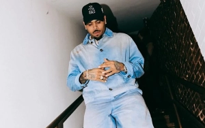 Chris Brown Defended Amid Backlash Over Upcoming South Africa Show Due to Domestic Violence History