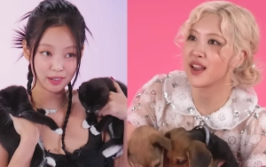 BLACKPINK Singers Jennie and Rose Discuss Solo Projects While Playing With Kittens and Puppies