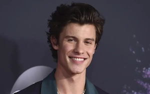 Shawn Mendes Addresses Constant Speculation About His Sexuality