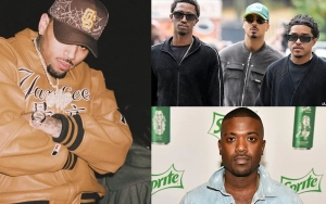 Chris Brown Praised for Breaking Up Fight Between Diddy's Sons and Ray J