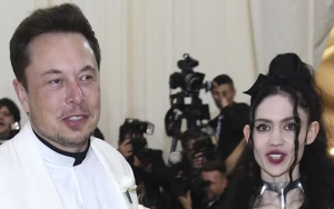 Grimes May Agree to Live With All of Elon Musk's Children and Baby Mamas in Grand Family Compound