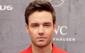 Liam Payne's Toxicology Results Reveal Drug Use Before Fatal Fall