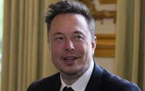 Elon Musk Slams 'Dying' 'SNL' and Dana Carvey's Impersonation Following Post-Election Episode