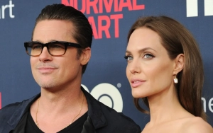 Brad Pitt and Angelina Jolie's Heated Battle Over French Vineyard Likely Heads to Trial