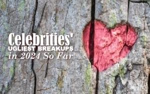 Celebrities' Ugliest Breakups in 2024 So Far