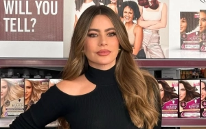 Sofia Vergara Has 'Very High Expectations' of Future Partner After Justin Saliman Split