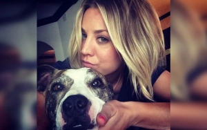 Kaley Cuoco Mourns Dog Who Died of Cancer After Being Rehomed by Her