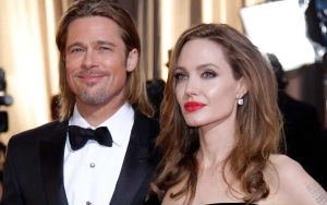 Angelina Jolie 'Gratified' by New Ruling in Winery Case Against Brad Pitt