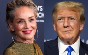 Sharon Stone Under Fire After Slamming 'Ignorant, Arrogant' Americans Who Voted for Trump