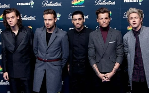 One Direction Considered Reunion Show Prior to Liam Payne's Death