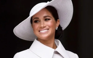 Meghan Markle Hits Red Carpet Solo After Prince Harry Addressed Divorce Rumors