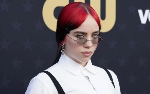 Billie Eilish Hit in the Face by Necklace During Concert