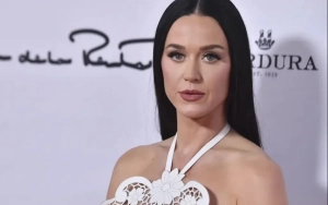 Katy Perry Dissed by 'American Idol' Alum Steven James Over Her Newest Single 'OK'