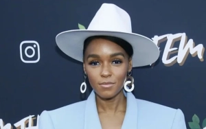 Janelle Monae Calls Nelly a Sellout for Performing at Donald Trump's Inauguration Event
