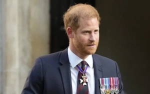 Prince Harry's U.S. Visa Application Documents Show No Special Treatment Despite Accusations