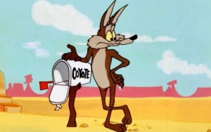 'Coyote vs. Acme' Finds New Home After Cancellation, Warner Bros. Looks to Sell 'Looney Tunes' Brand