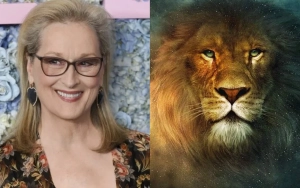 Meryl Streep in Talks to Play Aslan in Greta Gerwig's 'Narnia' Movie