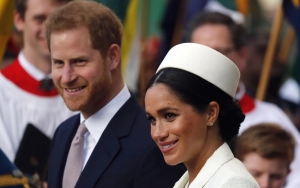 Meghan Markle Gushes About Prince Harry 'Slaying the Dragon, Saving the Princess' for Their Marriage