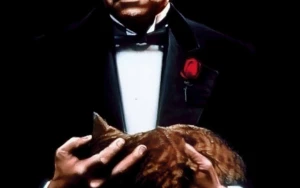 Legendary Best Picture Winners Stream Free on Tubi This November