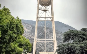 Warner Bros. Dismisses Paramount's Risky Netflix Takeover Bid