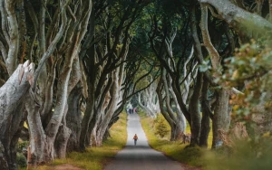 Anticipated Fantasy TV Series Launching in 2026 to Watch Out For