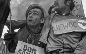 Exploring the Legacy of Luis Valdez in American Pachuco Film